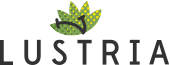 Vestiti Group Professional Attire-